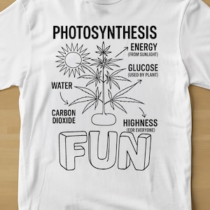 photosynthesis meme original