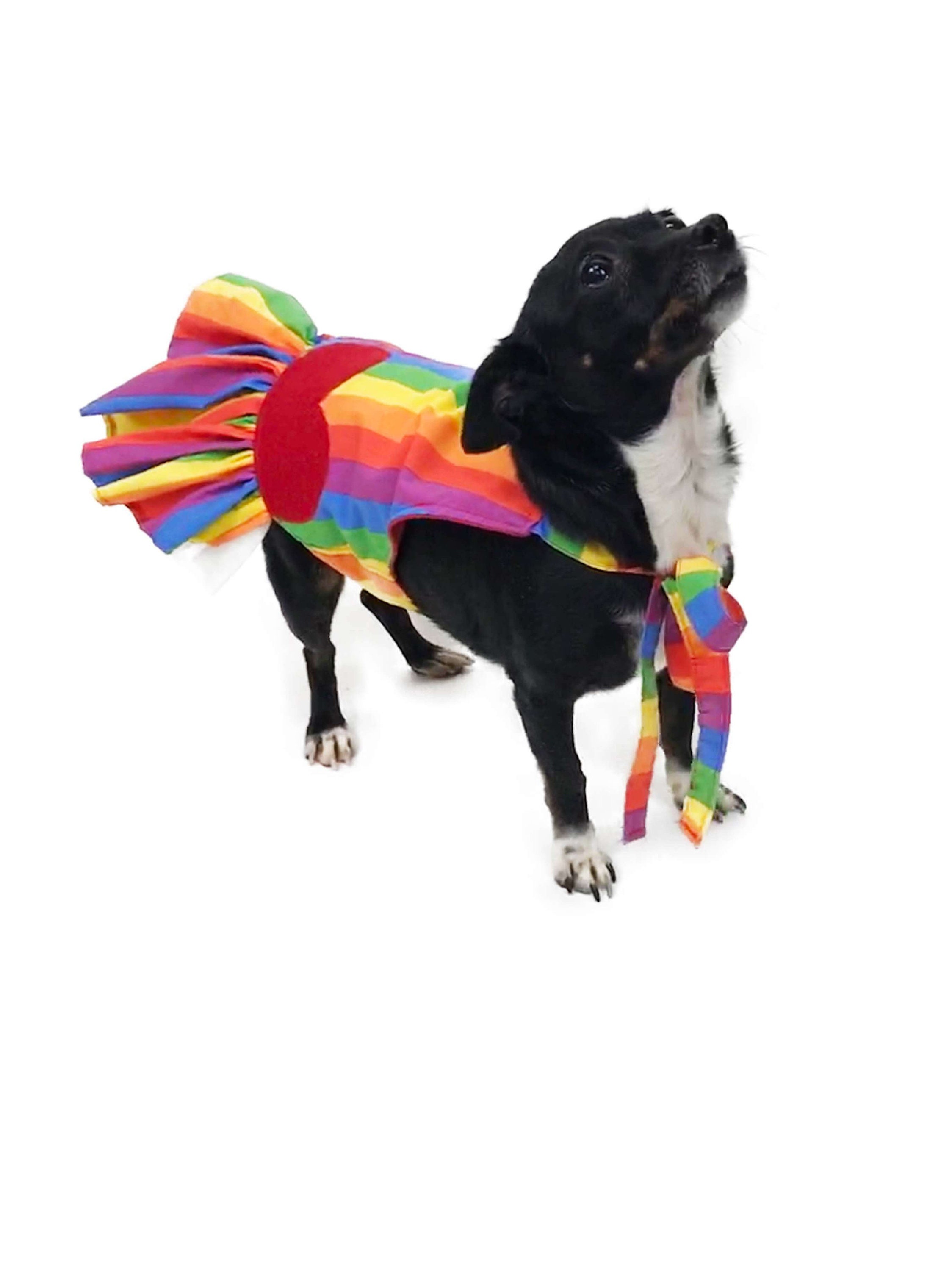 pride outfits for dogs