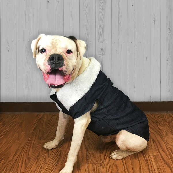 Small Dog Clothes Etsy