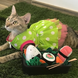 Handgefertigte Katze Bento Sushi Katzenspielzeug mit Katzenminze Füllung