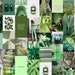 EARTHY GREEN PRINTED Wall Collage Kit (45 Images) 