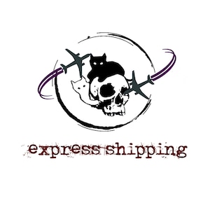 Express delivery supplement, DHL Express
