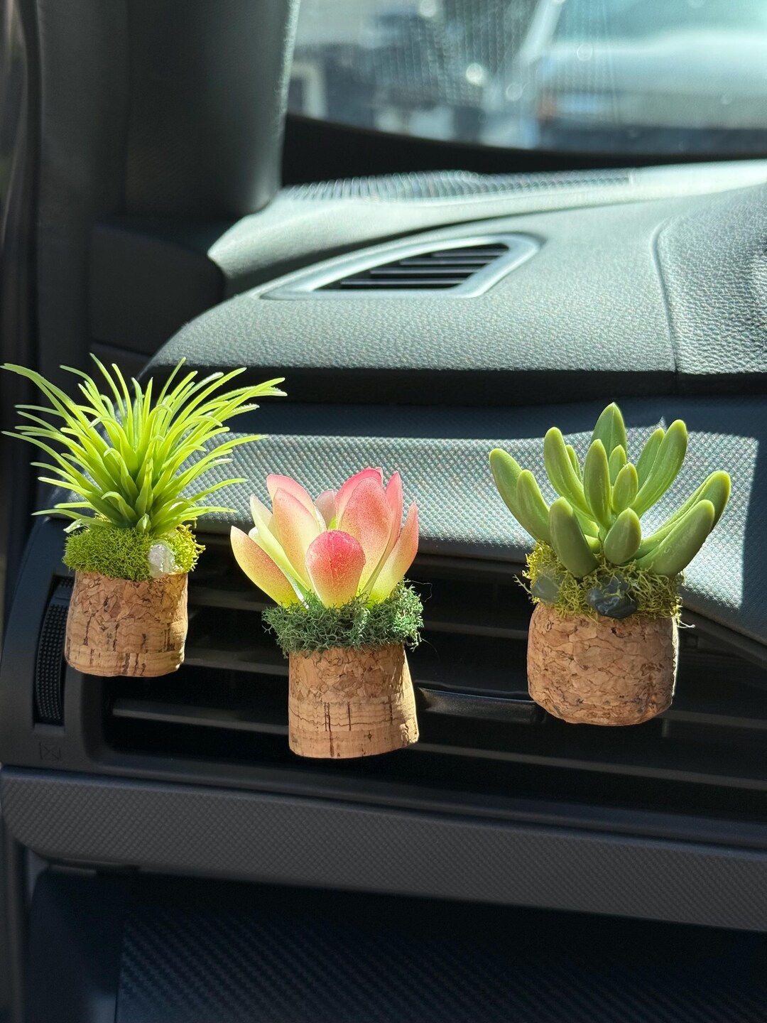 Succulent Cork Essential Oil Diffusers - Etsy