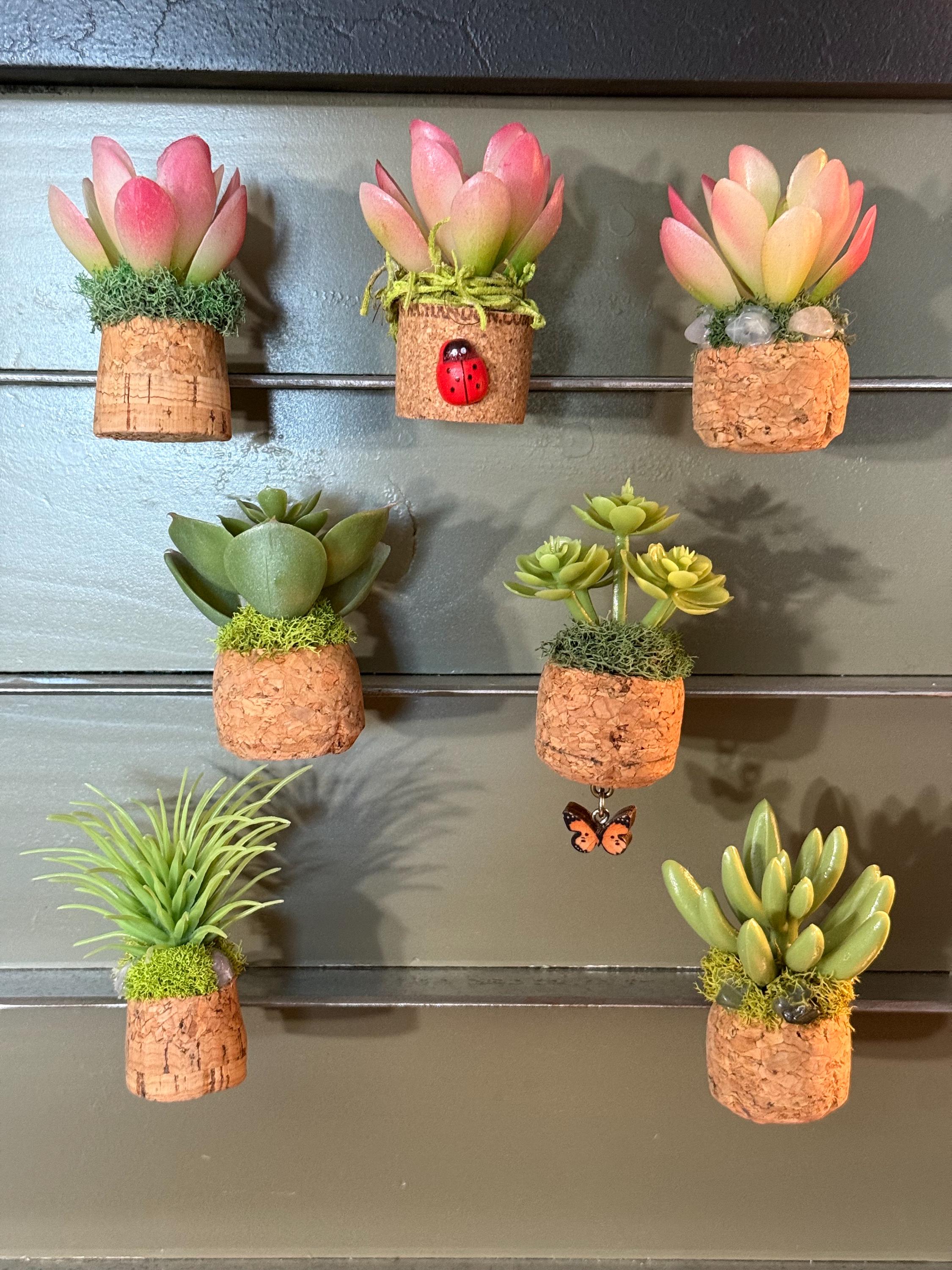 Succulent Cork Essential Oil Diffusers - Etsy