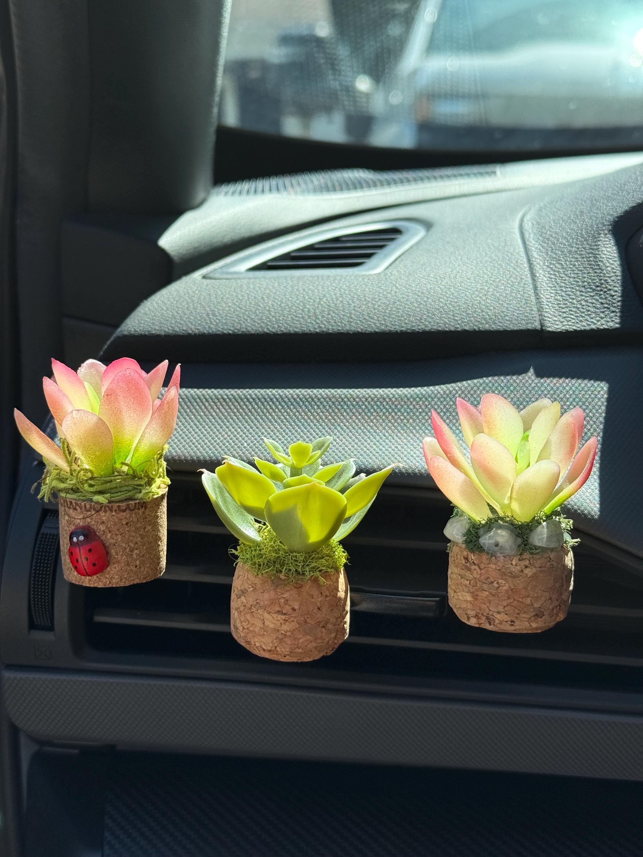 Succulent Cork Essential Oil Diffusers - Etsy