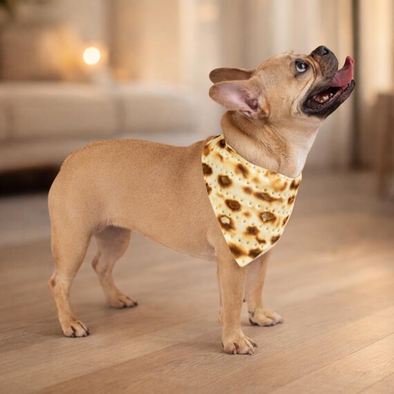 Passover Dog Bandana Matzah Print Pet Scarf, Jewish Holiday Outfit for Dogs, Pesach Gift for Pet Lover