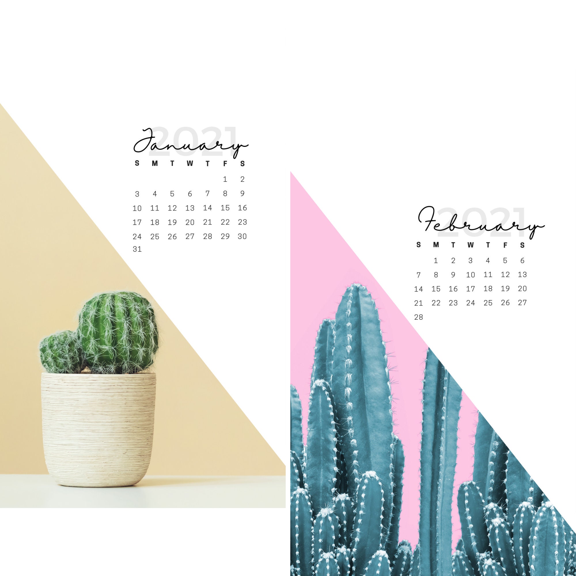 2021 Simple Cactus Floral Monthly Calendar iPhone Wallpaper Etsy
