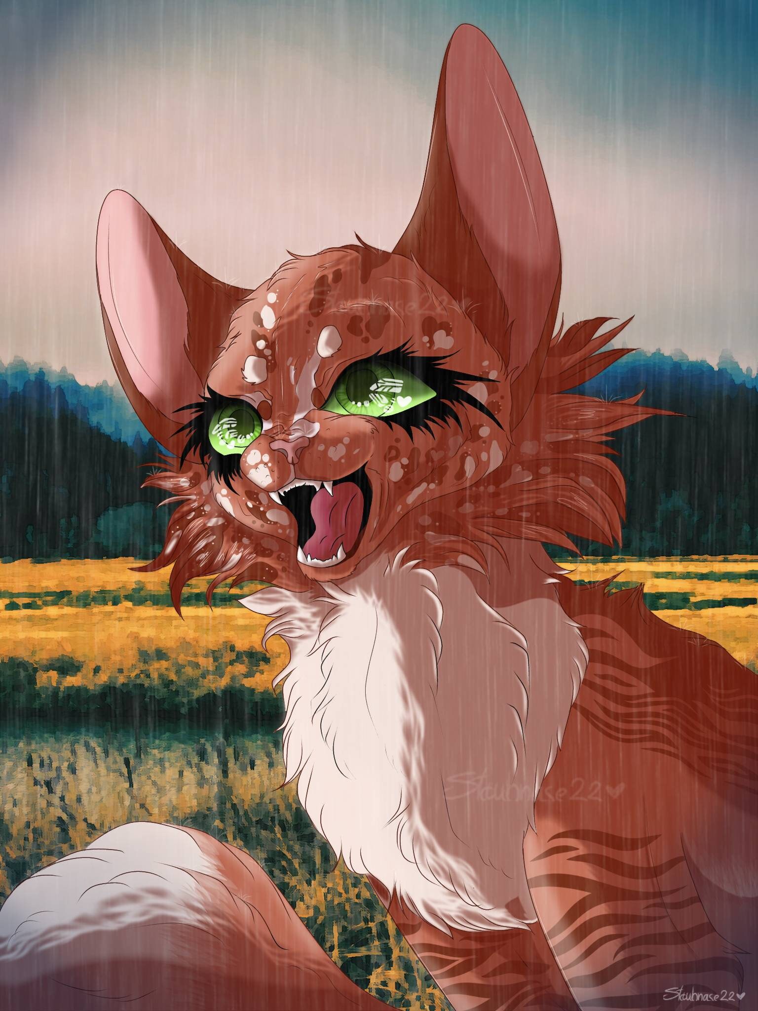 Into The Wild fan cover  Warrior cats comics, Warrior cats books, Warrior  cats art