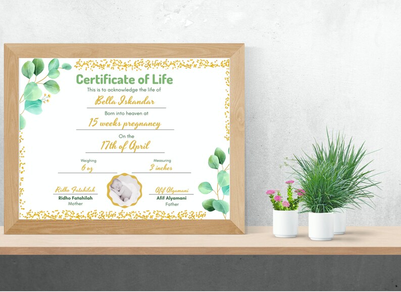May include: A Certificate of Life document in a light wood frame featuring green eucalyptus leaves and gold glitter accents. The text reads Certificate of Life, Bella Iskandar, 15 weeks pregnancy, 17th of April, 6 oz, 3 inches, Ridha Fatahilah, Alif Alyamani.