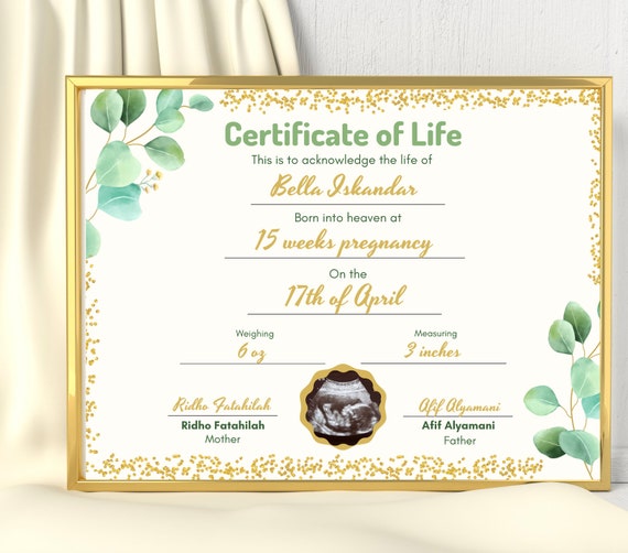 Digital Certificate Of Life, Stillbirth Memorial, Stillborn Memorial, Miscarriage Keepsake, Baby Memorial Gift, Angel Baby Condolence Gift