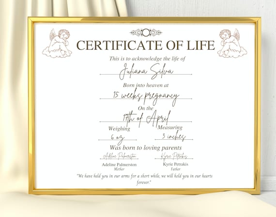Digital Certificate Of Life, Stillbirth Memorial, Stillborn Memorial, Miscarriage Keepsake, Baby Memorial Gift, Angel Baby Condolence Gift