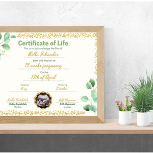 May include: A framed Certificate of Life document featuring green eucalyptus leaves, gold glitter accents, and an ultrasound image. The text reads Certificate of Life, Bella Iskandar, 15 weeks pregnancy, 17th of April, 6 oz, 3 inches, Ridha Fatahilah, and Afif Alyamani.