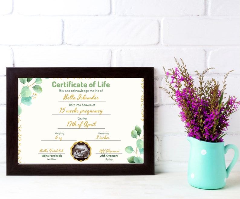 May include: A dark brown framed Certificate of Life document featuring green eucalyptus leaves, gold accents, and text including Bella Iskandar, 15 weeks pregnancy, 17th of April, 6 oz, 3 inches, Ridho Fatahilah, and Afif Alyamani with a sonogram image.