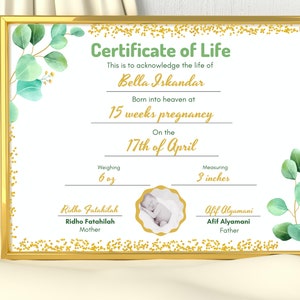 May include: A Certificate of Life document in a gold frame featuring green watercolor eucalyptus leaves and gold glitter accents. It includes the name Bella Iskandar, 15 weeks pregnancy, 17th of April, 6 oz, 3 inches, and parent names.