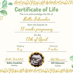 May include: A Certificate of Life document featuring green eucalyptus leaves and gold glitter borders. It includes the text Bella Iskandar, 15 weeks pregnancy, 17th of April, 6 oz, 3 inches, Ridho Fatahilah, Afif Alyamani, and a central ultrasound image.
