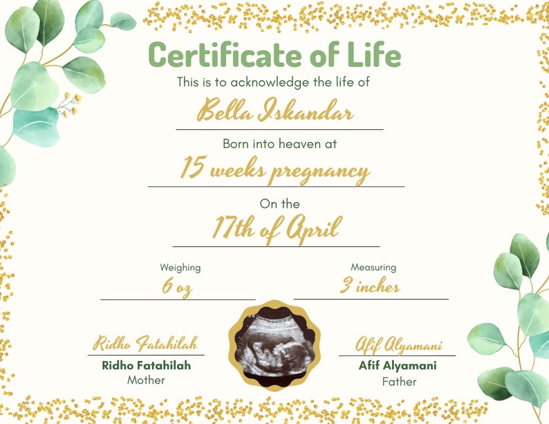 May include: A Certificate of Life document featuring green eucalyptus leaves and gold glitter borders. It includes the text Bella Iskandar, 15 weeks pregnancy, 17th of April, 6 oz, 3 inches, Ridho Fatahilah, Afif Alyamani, and a central ultrasound image.