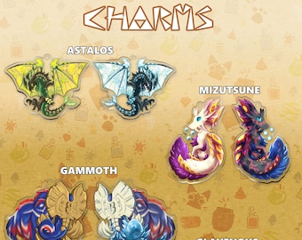 Monster Hunter Charms