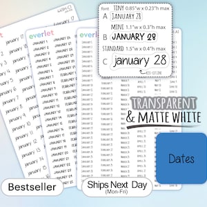 May include: A sheet of transparent, white sticker paper with the word "everlet" printed at the top. The sheet contains a grid of numbers from 1 to 31, representing the days of January and February. The numbers are printed in black and are arranged in a column format. The sheet also includes the text "Bestseller" printed at the bottom. The sheet is designed for use in planners and journals.