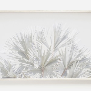 Palm Leaf Prints, Tropical Decor, Plant Leaves Wall Art, Palm Poster, Palm Wall Art, Horizontal Wall Art, Palm Tree Decor