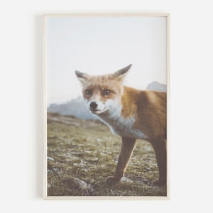 Fox Wall Art, Printable Fox Poster, Pacific Northwest, Rustic Cabin Decor, Woodland Printable, Downloadable Print, Printable Art