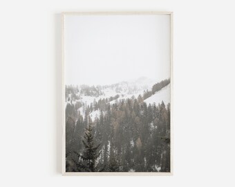 May include: A framed photograph of a snowy mountain range with a forest of evergreen trees in the foreground.