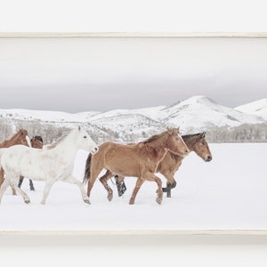 Snowy Horse Scene, Horse Photography, Winter Horse Print, Horse Decor, Horse Poster Print, Winter Wall Art, Snowy Mountain Photo, Printable