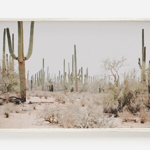 Saguaro National Park, Arizona Desert, Tucson Printable Art, Saguaro Digital Art, National Park Poster, Tucson Photography Arizona Landscape
