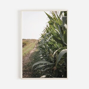 Rows Of Corn Wall Art, Rustic Fall Decor, Corn Field Printable, Farmhouse Decor, Fall Farm Poster, Corn Field Rows Print, Autumn Farm Art
