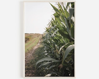 Rows Of Corn Wall Art, Rustic Fall Decor, Corn Field Printable, Farmhouse Decor, Fall Farm Poster, Corn Field Rows Print, Autumn Farm Art