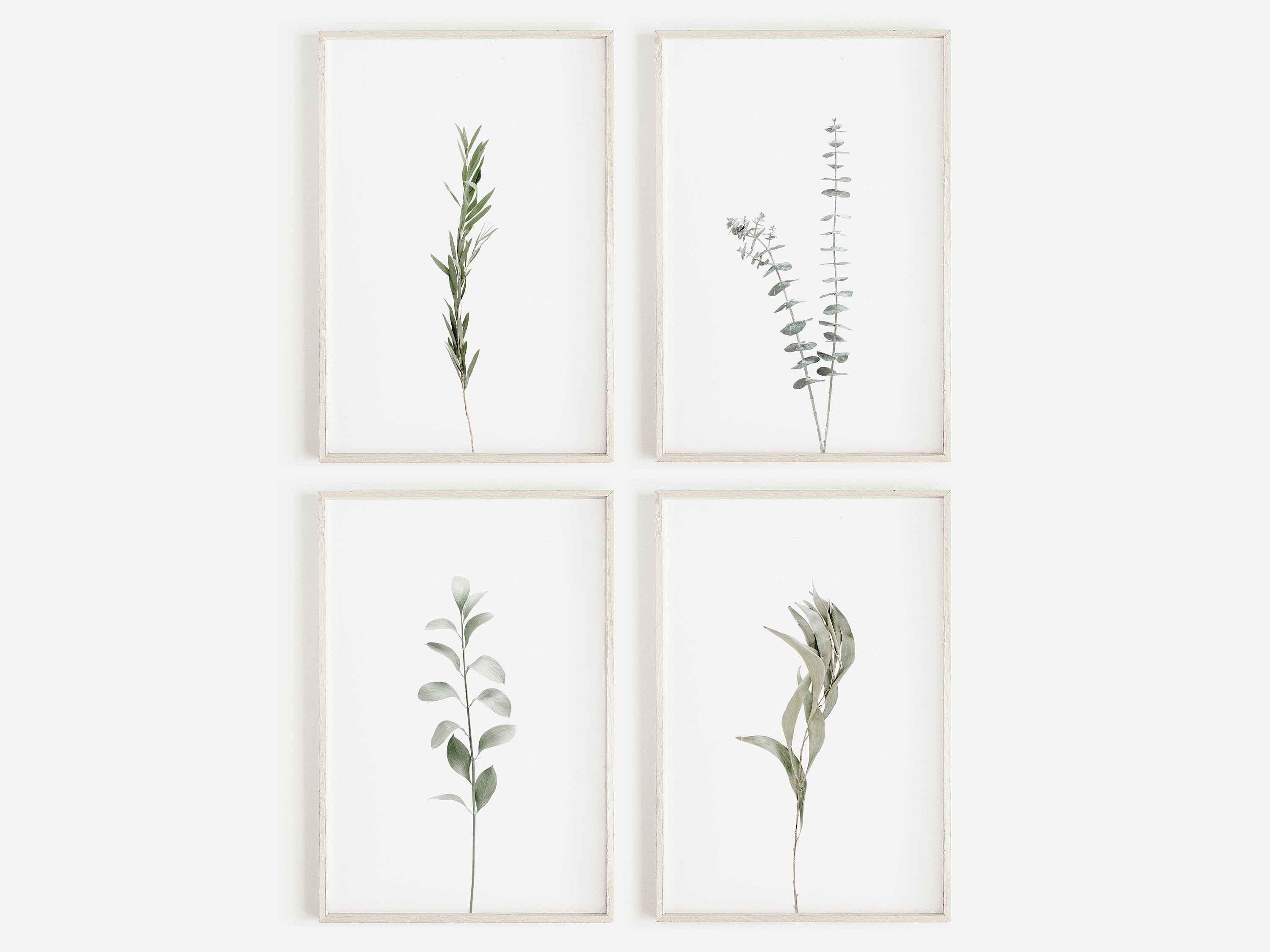 Minimalist Botanical Wall Art Set of 4 Prints, Plant Wall Art ...