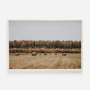 Fall Hay Field Wall Art, Rustic Home Decor, Farm Photography, Nature Printable, Woodland Hay Field Poster, Farmhouse Autumn Decor
