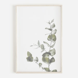 Eucalyptus Wall Art, Botanical Art Print, Instant Art, Modern Minimalist Poster, Instant Download, Printable Wall Decor
