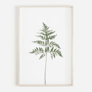Fern Wall Art, Plant Print, Fern Poster, Botanical Print Leaf, Floral Digital Print, Green Leaves Print, Photo Print, Green Leaf Wall Art