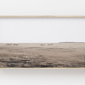 Samsung Frame TV Art | Reindeer Digital Art for Frame TV | Wildlife Photography | Animal Digital Art | Winter Landscape | Neutral Frame TV