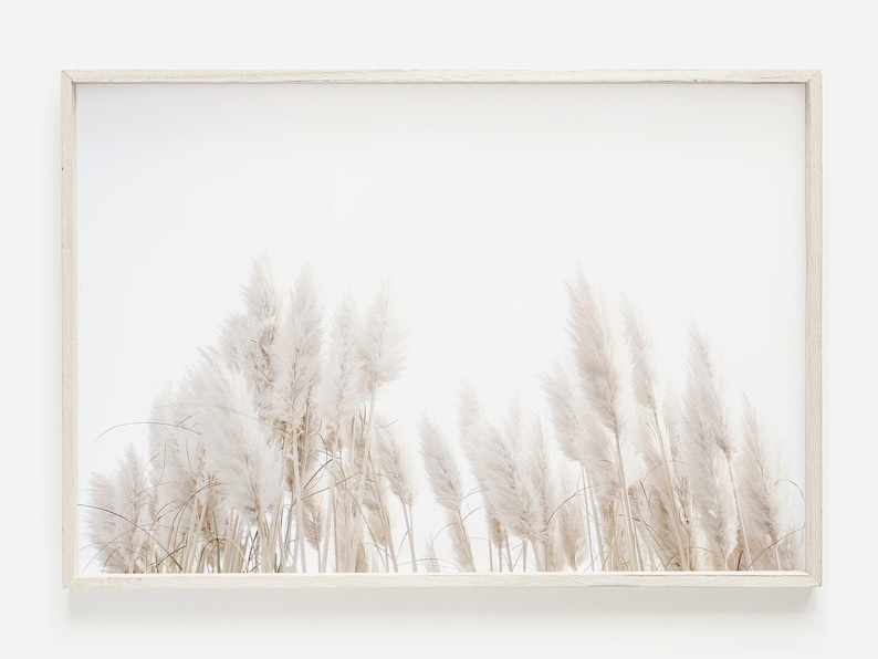 Boho Pampas Grass Print, Large Wall Art, Pampas Grass Wall Art, Summer