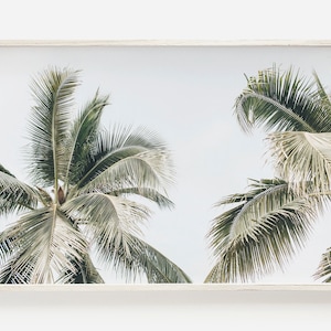 Palm Springs Print, Pastel Palm Tree, Palm Tree Art Print, Desert Palms, California Palm Tree Art, Landscape Photography, Tropical Wall Art