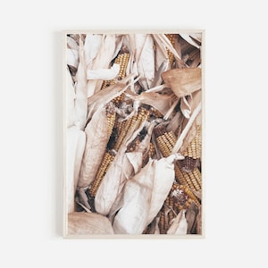 Autumn Dried Corn Poster, Rustic Home Decor, Farmhouse Harvest Print, Indian Corn Wall Art, Fall Colors, Neutral Corn Poster, Modern Farm