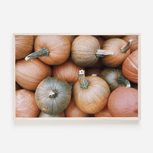 May include: A framed print featuring a collection of pumpkins. The pumpkins vary in color from orange to green and are arranged closely together. The pumpkins have textured surfaces and green stems. The overall theme is autumn and harvest.