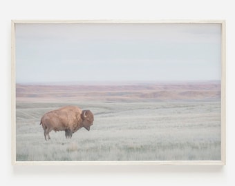 Bison Print, Wildlife Photography, Farmhouse Wall Art, Nature Photo, Large Buffalo Poster, Western Bison Print, Modern Rustic Wall Art