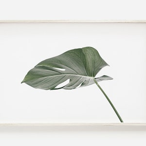 Monstera Print, Tropical Print, Leaf Wall Art, Minimalist Print, Minimalist Art Print, Monstera Print, Monstera Poster, Monstera Wall Art