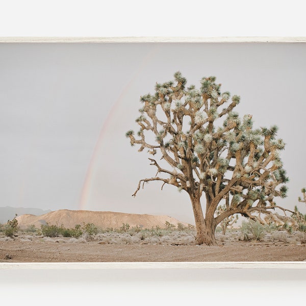 Cactus Sunset Print, Joshua Tree Desert, California Landscape, Joshua Tree After Rain, Desert Digital Art, California Landscape, Joshua Tree