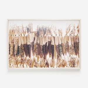 Dried Corn Wall Art, Rustic Farmhouse Decor, Corn Harvest Poster, Indian Corn Digital Art, Dried Indian Corn Harvest, Farmhouse Corn Art
