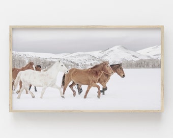 Samsung Frame TV Art | Icelandic Horses | Horse Digital Art For Frame TV | Wildlife Photography | Animal Digital Art | Winter Landscape