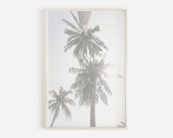 California Palm Tree Art, Fotografia Palm Tree, Palm Springs, Ocean Palm Tree Photo, Summer Decor, Arizona Palm Art, Home Wall Art