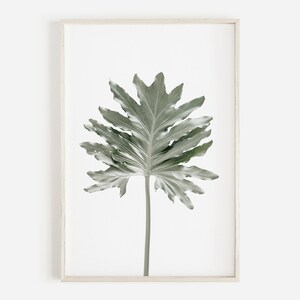 Leaf Wall Art, Green Leaf Print, Fern Wall Art, Branch Print, Botanical Poster Photo, Farmhouse Botanical Art, Printable Leaf, Photo Print