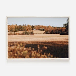 Autumn Hay Fields Print, Rustic Home Decor, Western Scenery Poster, Fall Colors Wall Art, Forest And Fields, Western Farmhouse Art
