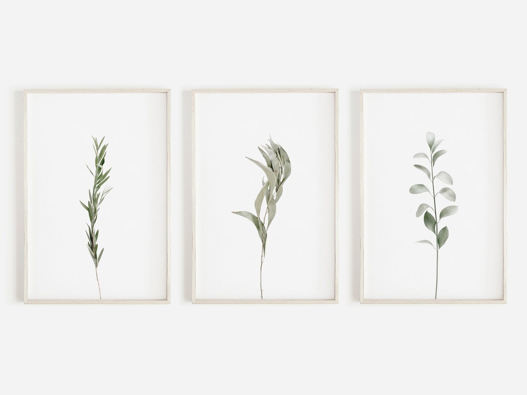Minimalist Botany Print Set, Set of 3 Wall Art Prints, Green Leaves Set ...
