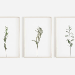 Minimalist Botany Print Set, Set of 3 Wall Art Prints, Green Leaves Set, Botanical Posters, 3 Piece Wall Art, Plant Prints, Farmhouse Prints