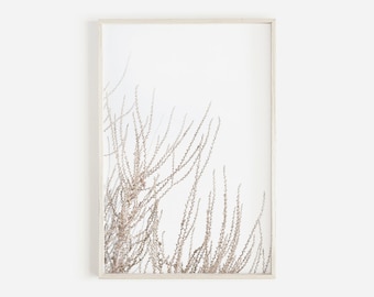 May include: A framed print of a minimalist botanical illustration featuring delicate, dried branches against a white background.
