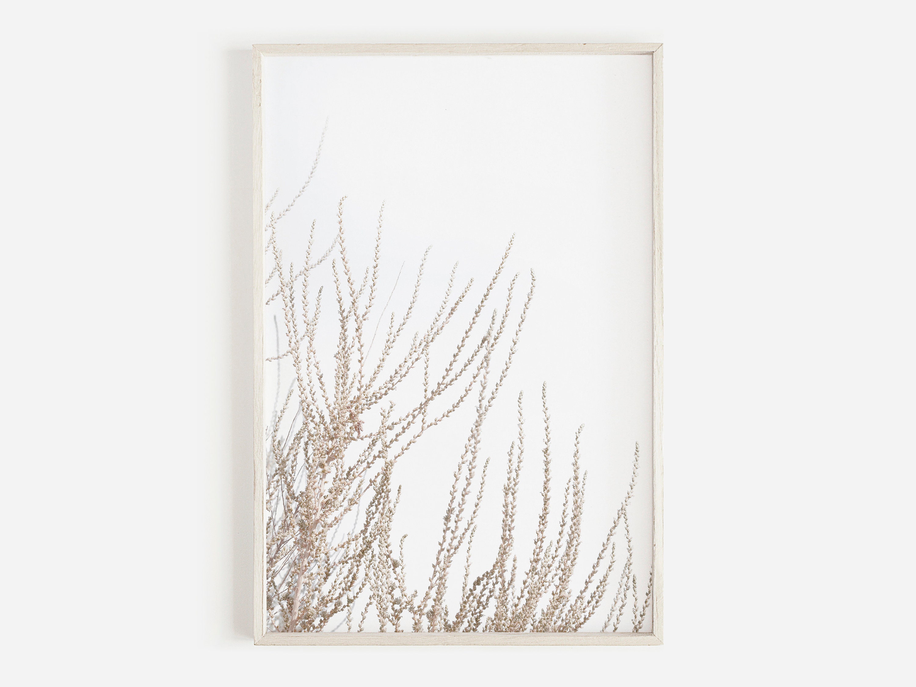 Dried Grass Wall Art, Coastal Poster, Pastel Wall Art, Farmhouse